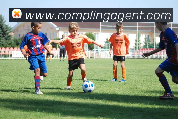mksports在线登录入口发展历程